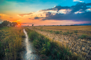 Sunset over the field