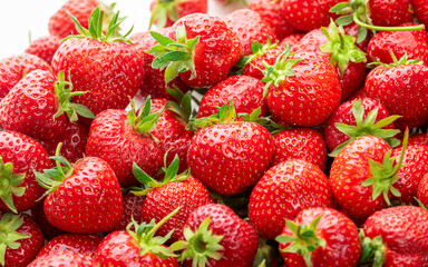 Ripe strawberries with sepals on a white background