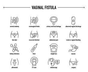Vaginal Fistula symptoms, diagnostic and treatment vector icon set. Line editable medical icons. - obrazy, fototapety, plakaty