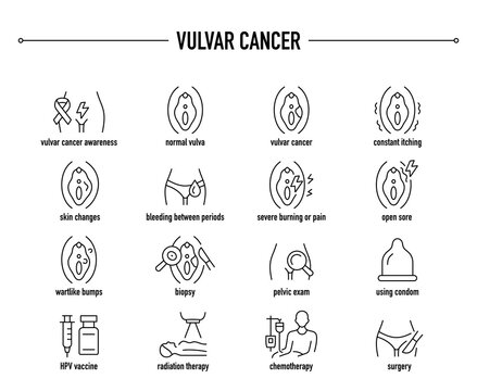 Vulvar Cancer symptoms, diagnostic and treatment vector icon set. Line editable medical icons.