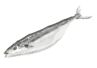 水彩のサンマ01_1