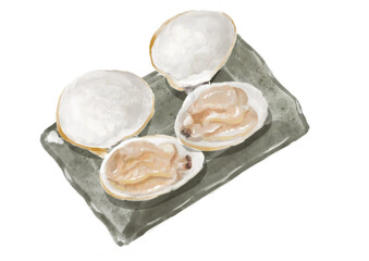 水彩のハマグリ01_6