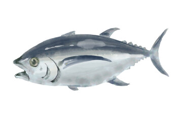 水彩のマグロ01_1