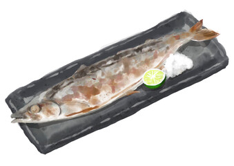 水彩の焼きサンマ01_3