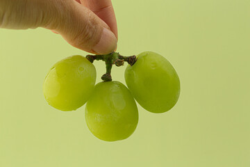 A bunch of Shine Muscat green grape on green background