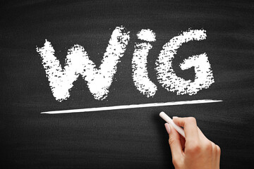 WIG Wildly Important Goals - highly important goals that must be achieved or no other goal matters,...
