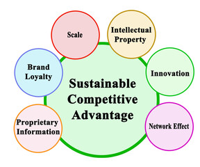  Six Drivers of Sustainable Competitive Advantage