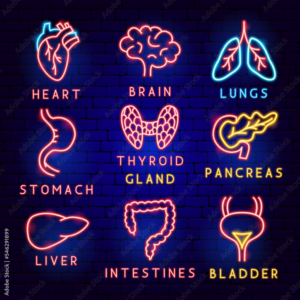 Sticker body organ label set. vector illustration of medical human health objects.