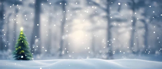 Gordijnen Kerstlandschap met sneeuw en dennenboom. ruimte kopiëren © Markus