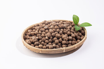 aerial bulblet, aerial tuber, bulbil