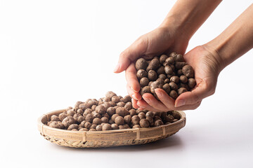 aerial bulblet, aerial tuber, bulbil