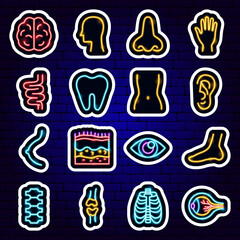 Body Organs Neon Stickers. Vector Illustration of Medical Science Symbol.