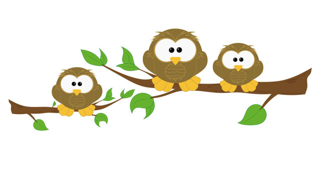 owls on branch