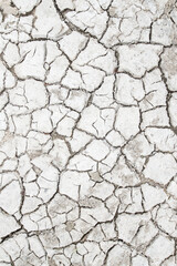 texture cracked earth  of the ground