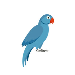 Blue parrot on white background