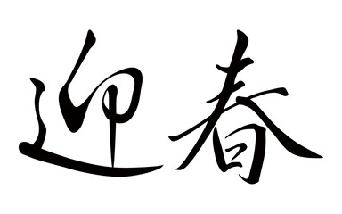 迎春、筆文字、アイコン、書道、PNG