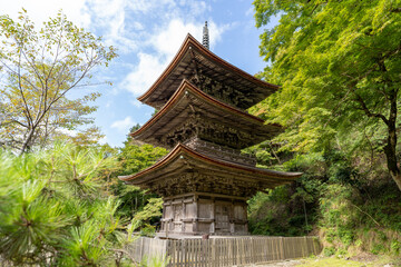 金剛院・鹿原公園・弘法の滝
