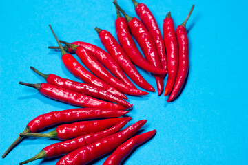 Red hot chili peppers on blue background