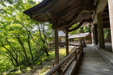 金剛院・鹿原公園・弘法の滝