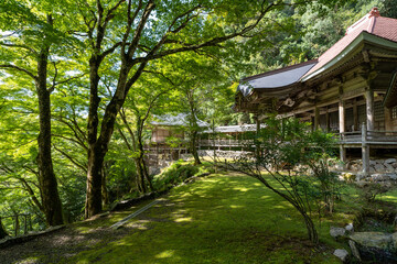 金剛院・鹿原公園・弘法の滝