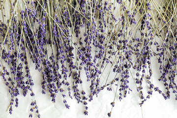 Violet lavender flowers on white background as texture and concept of aromatherapy, beauty and health
