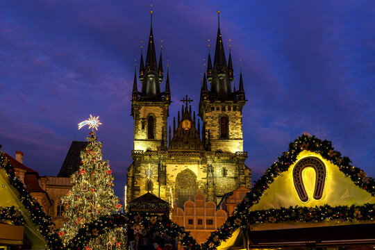 Illuminated Christmas tree and Tyn church under evening sky in Prague, Czechia.