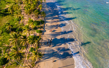 aerial drone shot of a beach on Punta Cana while people are horse riding on a beautiful sunny day. the ocean with a crystal blue color that tourist love during vacation  - obrazy, fototapety, plakaty