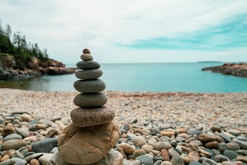 Closeup of a Stone Johnnie on a rocky beach with a scenic waterscape in the background