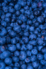 Fresh blueberry background. Texture blueberry berries close up.