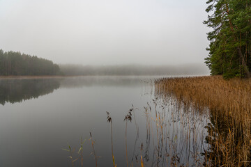 A wonderful morning view of the foggy Niedraja lake. Smiltene, Latvia