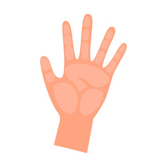 Cartoon person hand showing number five with fingers isolated on white background. Hand of people counting vector illustration. Gestures, education concept