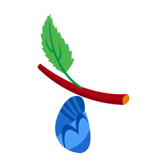 Butterfly cocoon on tree branch. Life cycle of butterfly vector illustration. Stage of insect isolated on white background. Nature, biology concept