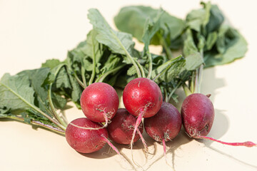 Fresh red radish isolated on beige background