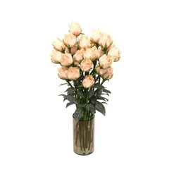 vase with Flowers, isolated on white background, 3D illustration, cg render