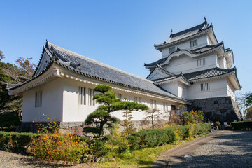 Fototapeta premium 千葉県夷隅郡大多喜町の大多喜城