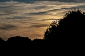 Colorful Sky and Forest Silhouette at Sunset