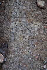 Closeup shot of the rock stone texture