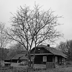 Abandoned house and farm near the forest. © Adam