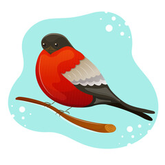 Cute bullfinch sitting on branch. Vector character of winter bird on blue background.