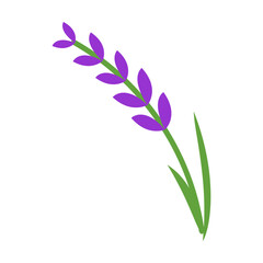 Small sprig of lavender. Colorful symbol of France. Cartoon vector illustration. France, culture, flora concept
