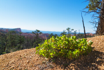 overview of a valley