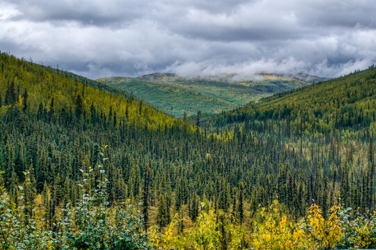 Forest and mountains is Alaska