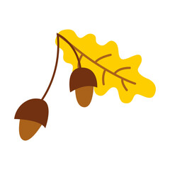 Oak twig with leaf and acorns cartoon illustration. Yellow autumn leaves. Foliage, fall decoration, September concept