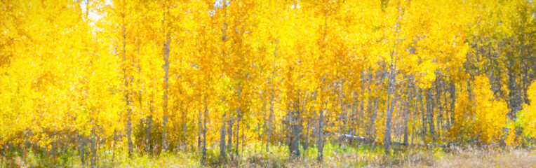 Golden Aspen Grove Landscape