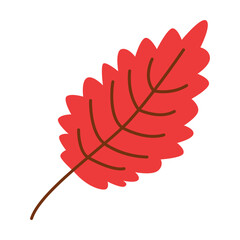 Cartoon illustration of red oak leaf. Autumn symbol. Foliage, fall decoration, September concept