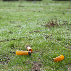 Remains left by hunters in the meadow, post cartridges, after their day of hunting