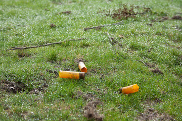 Remains left by hunters in the meadow, post cartridges, after their day of hunting
