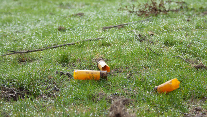 Remains left by hunters in the meadow, post cartridges, after their day of hunting