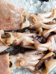 Pile of Freshly Caught  squids on ice on a Sea Market
