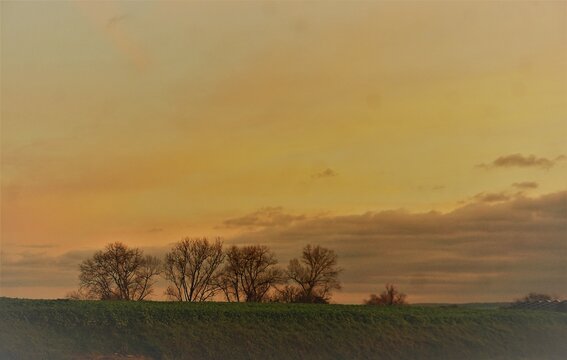 Grüne Landschaft mit Ackerfeld und Baumreihe vor goldgelbem Himmel bei Sonnenaufgang am frühen Morgen im Herbst © Anette
